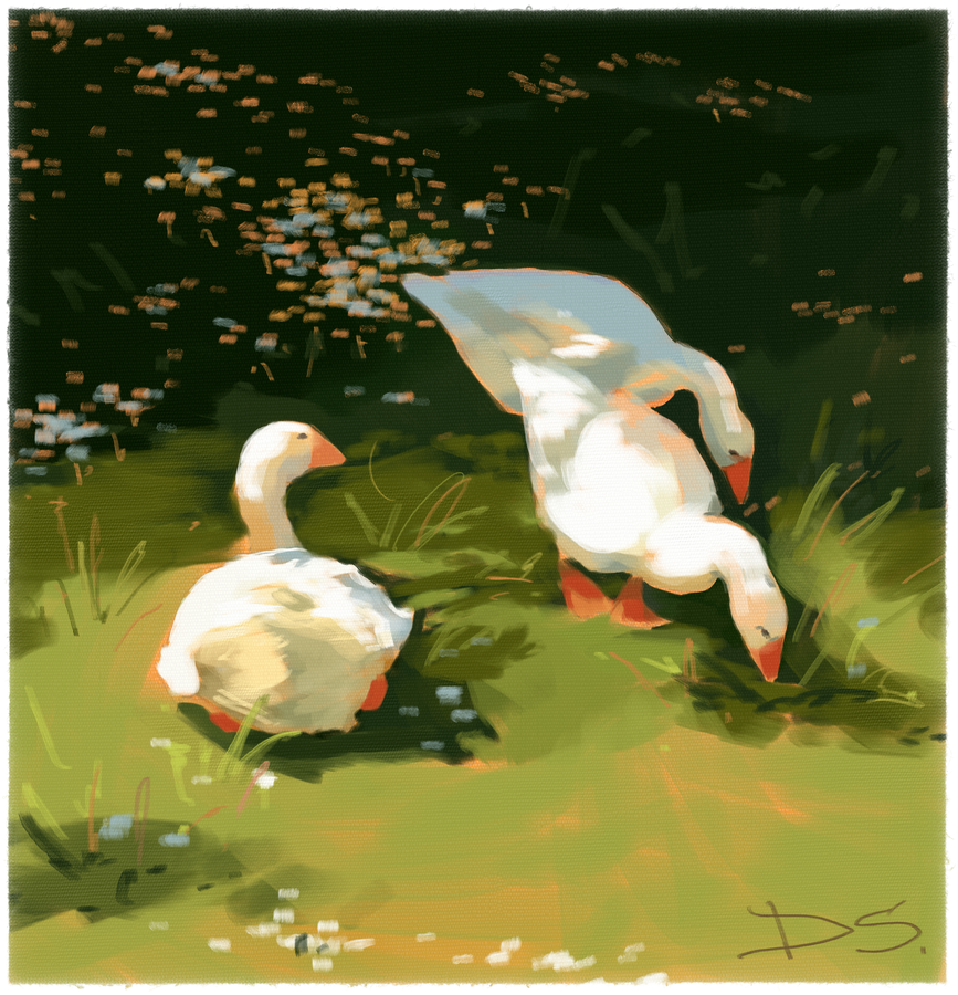 Painting study of three geese in a field of grass and little white flowers