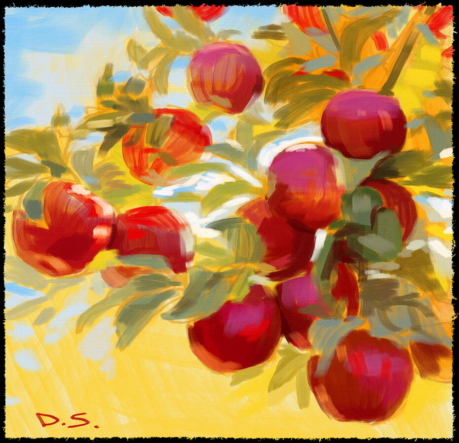 A painting study of a branch full of red apples against a blue sky